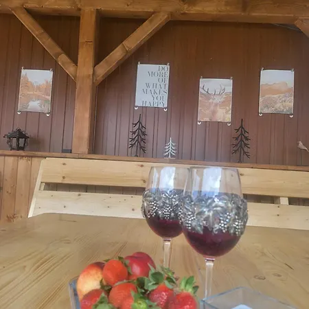 Prázdninový dům U100bodů Za švestkovou Dráhou